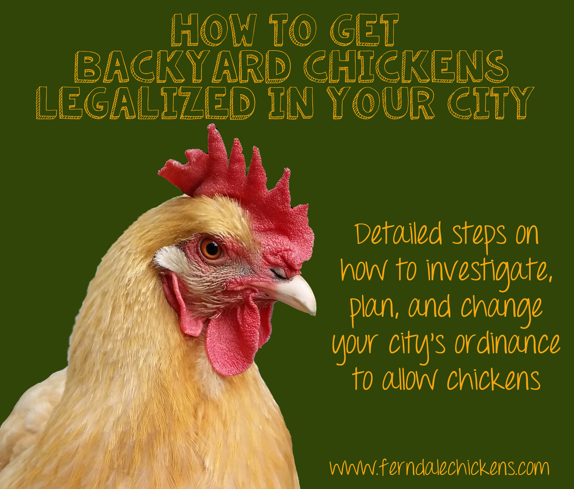 How To Get Backyard Chickens Legalized In Your City Ferndale Chickens